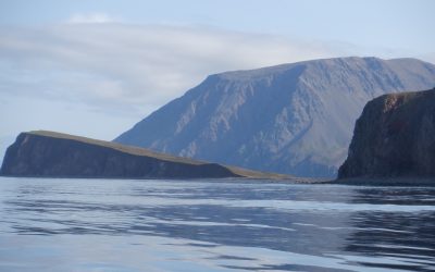 Iceland Pandemic Expedition 2021